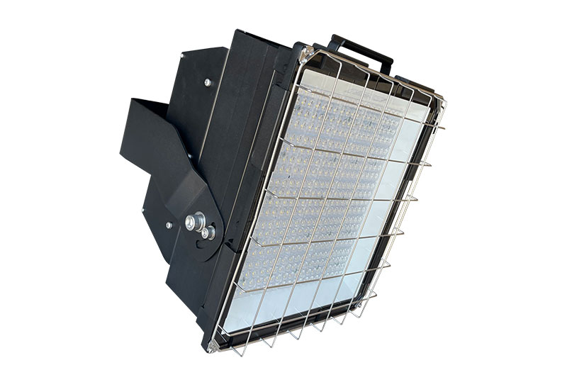 EL-ДБY-12-240-7799-65Х Ecolight
